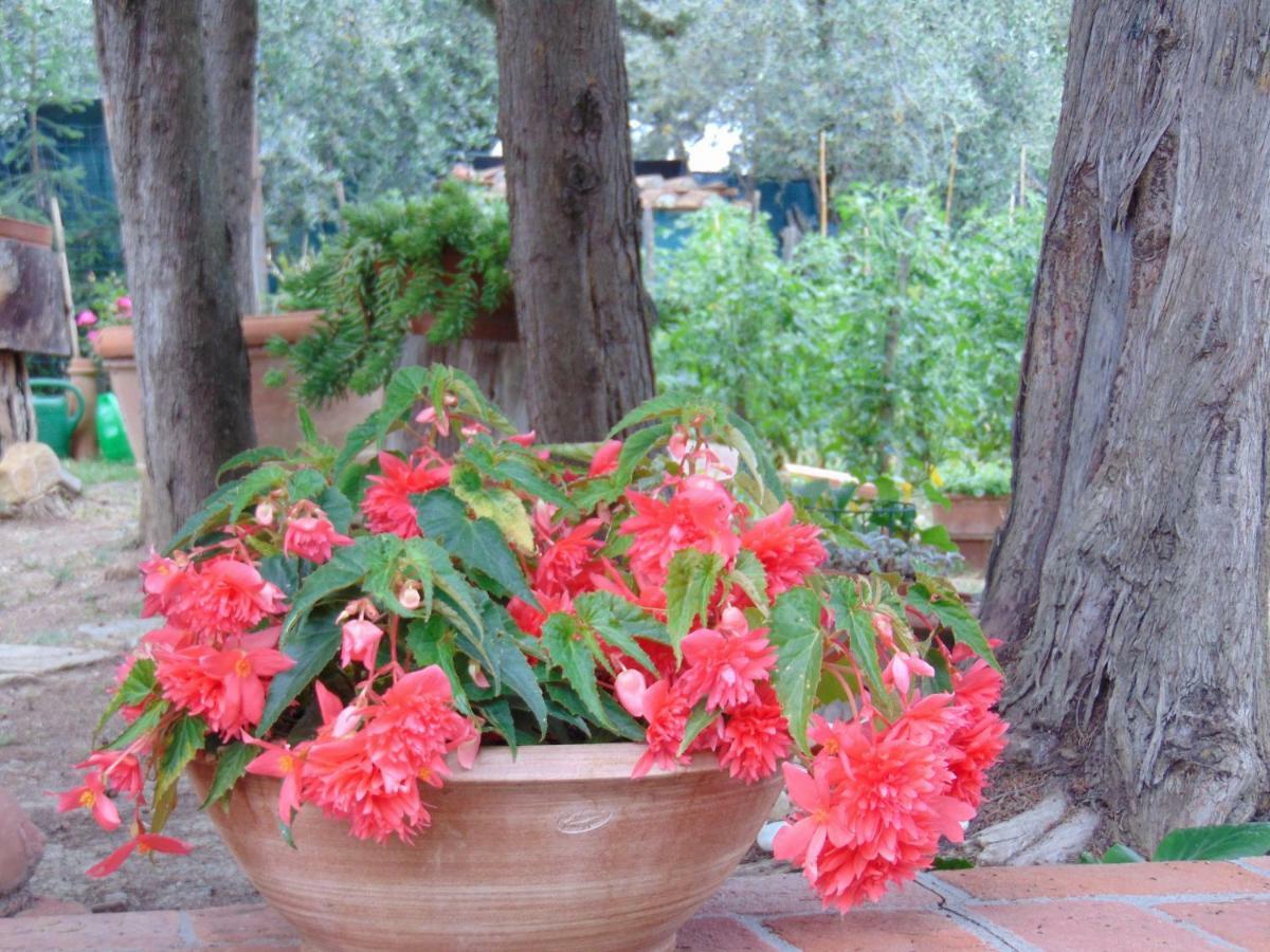 Agriturismo Circugnano Grassina Exterior photo