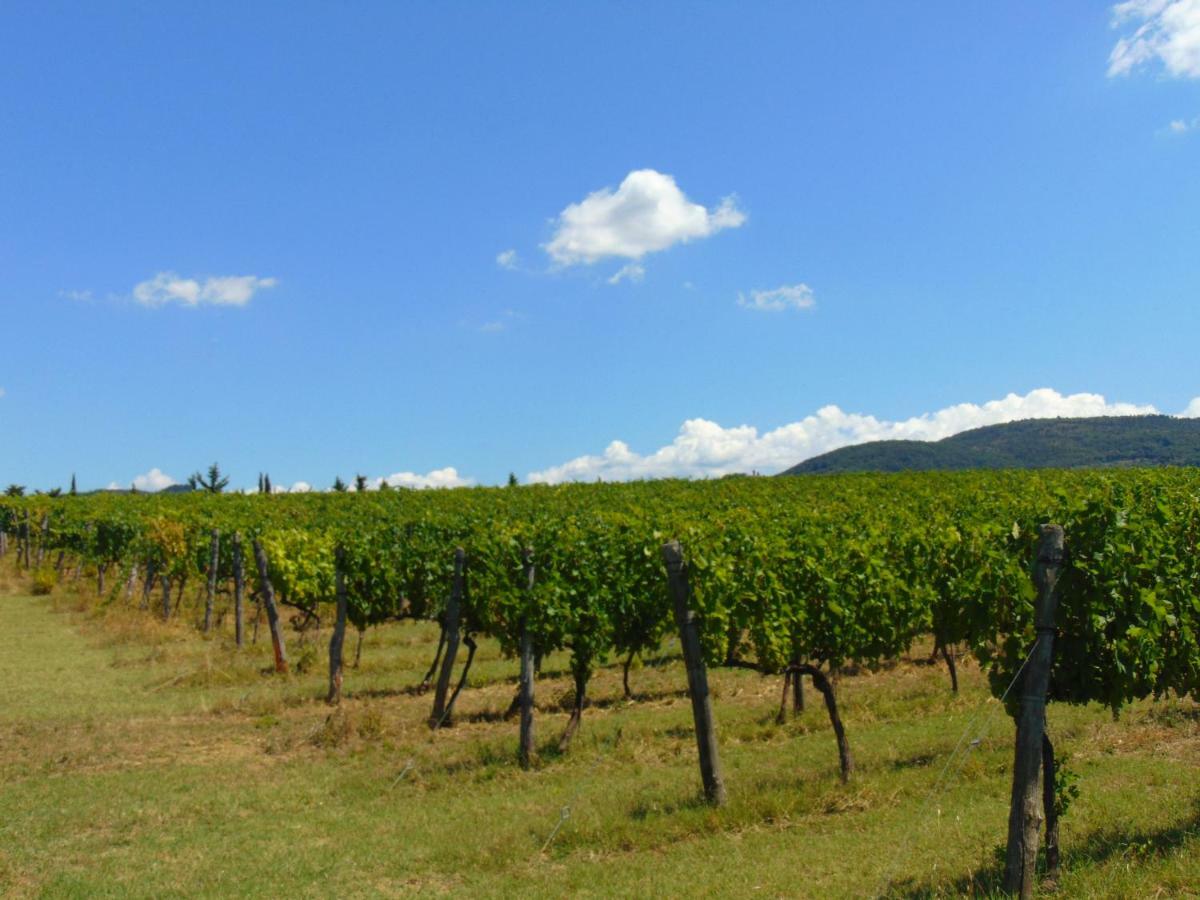 Agriturismo Circugnano Grassina Exterior photo